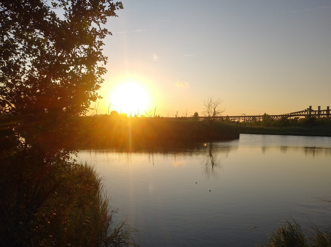 Lincoln Park景点图片