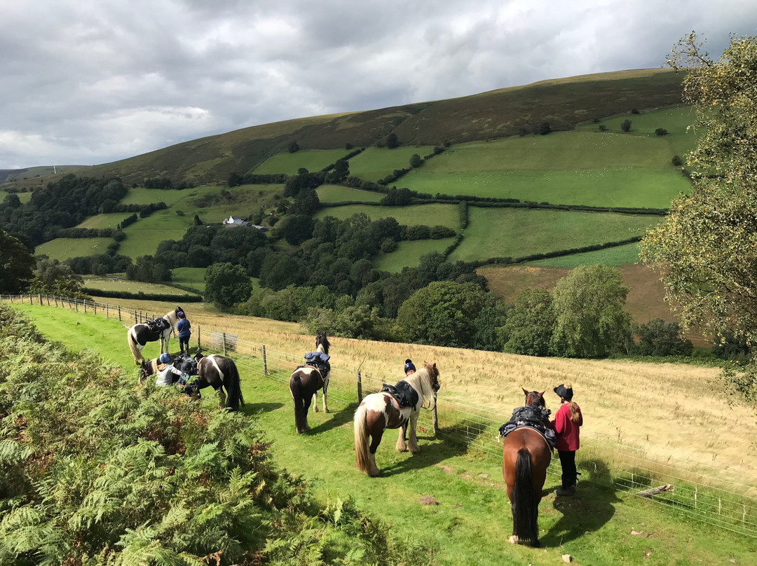 Freerein Riding Holidays-Clyro必去景点