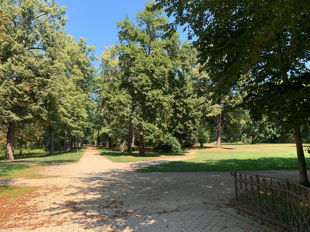Stadtpark-Riesa必去景点