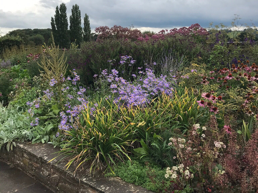 Yeo Valley Organic Garden-Blagdon必去景点