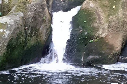 Rota das Pesqueiras, Río Minho-Remoaes必去景点