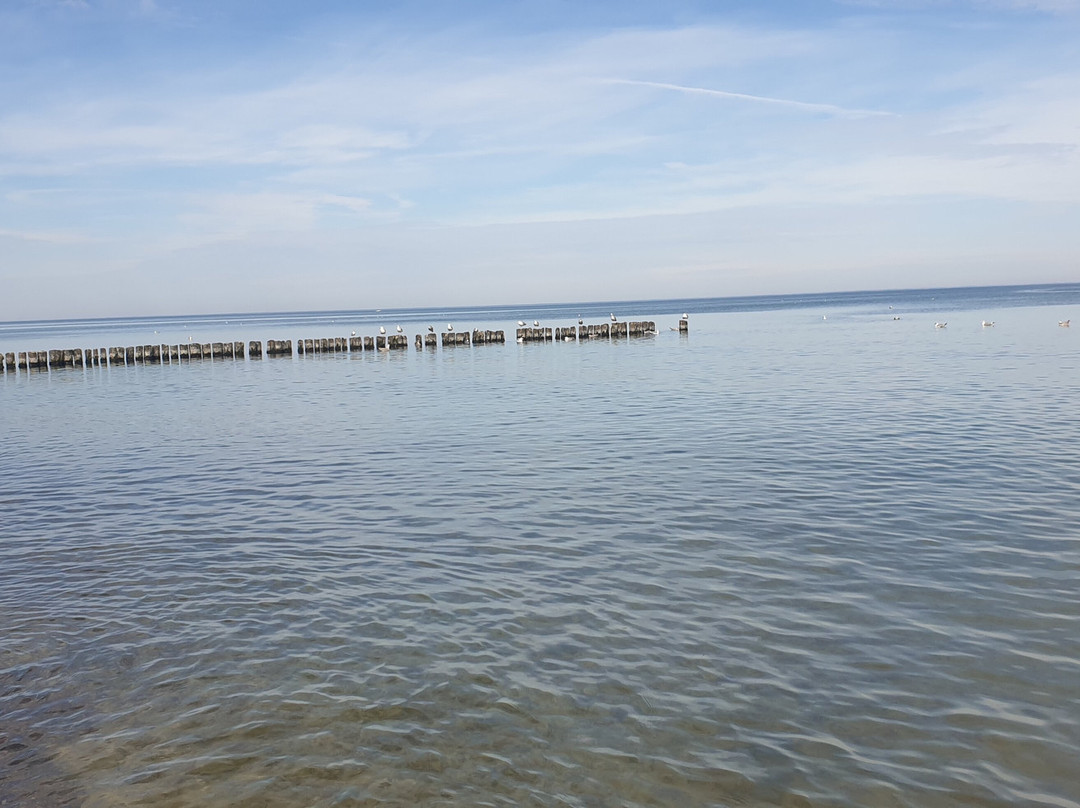 Plaża w Sarbinowie景点图片