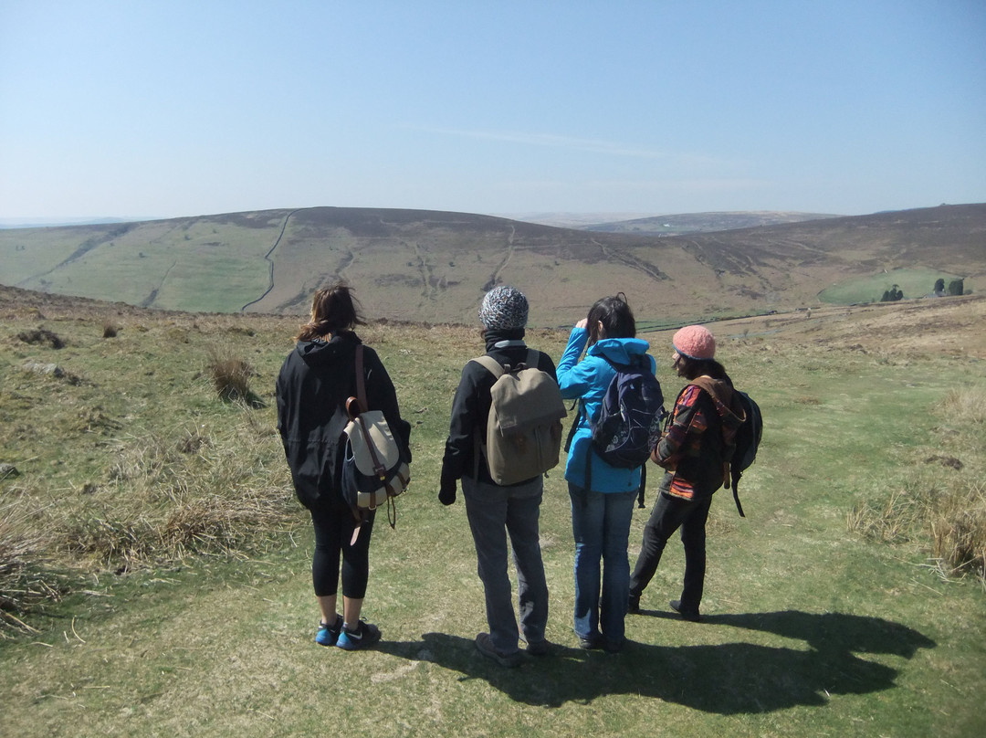 Dartmoor Walks This Way-Ashburton必去景点