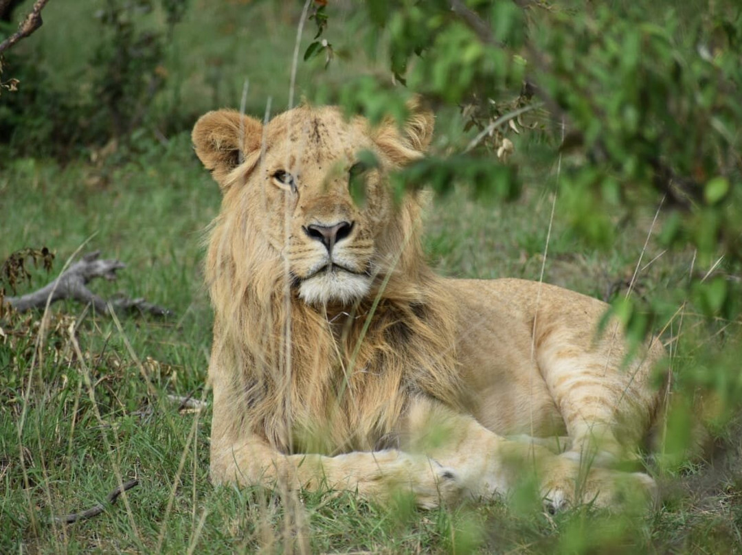African Guide-瓦塔木必去景点