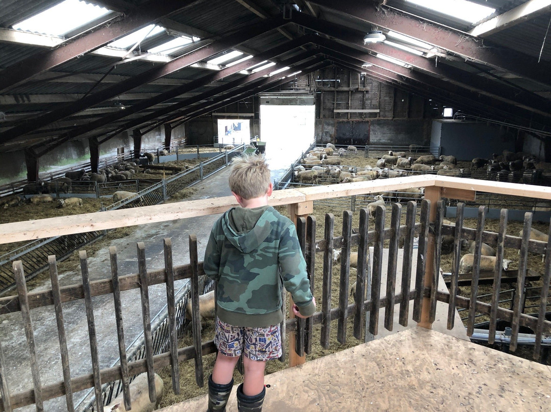 Kaasboerderij Wezenspyk景点图片