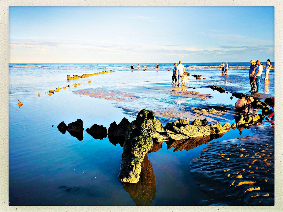 The Amsterdam Shipwreck-海斯廷斯必去景点