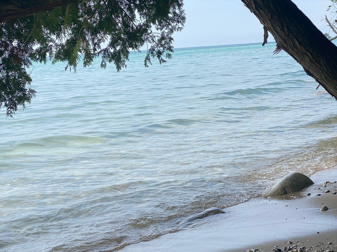 Thorne Swift Nature Preserve-Harbor Springs必去景点