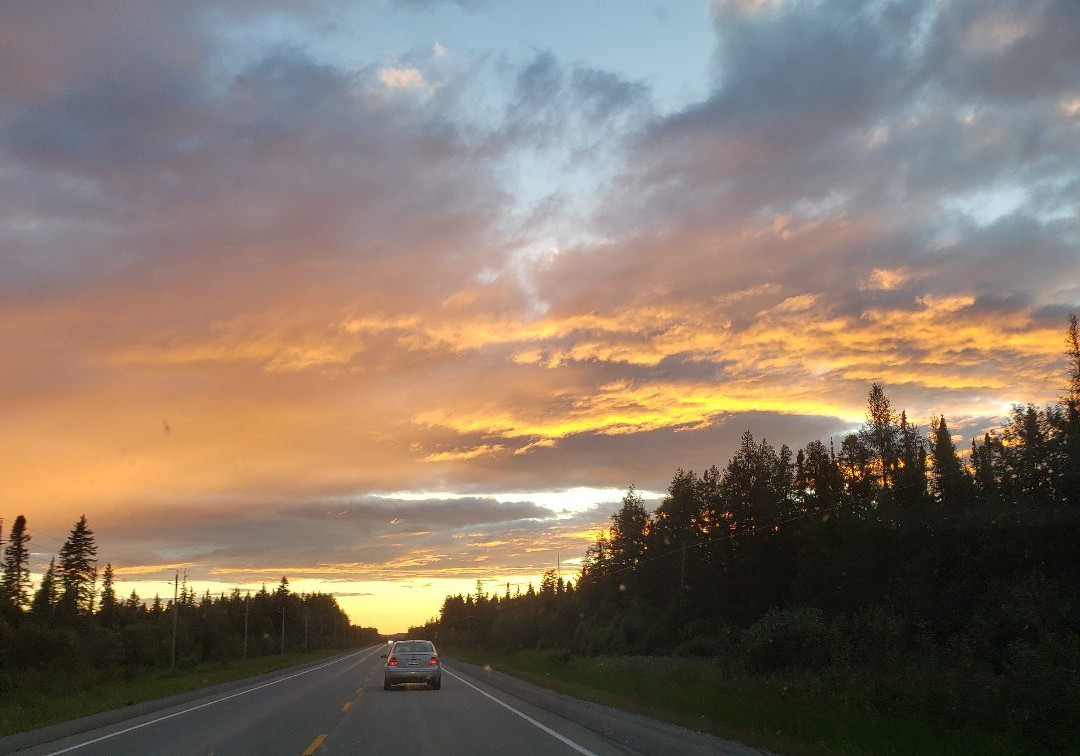 The Coach House Motel主图