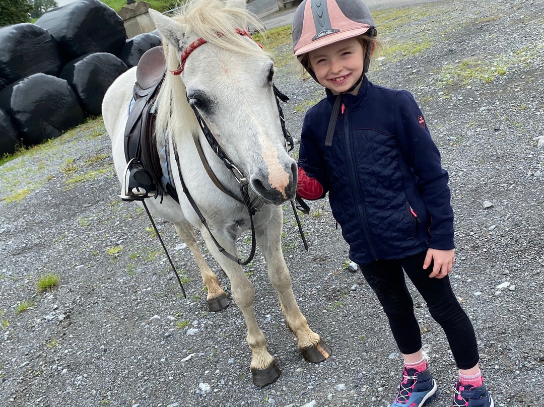 Drumcliffe Equestrian-恩尼斯必去景点