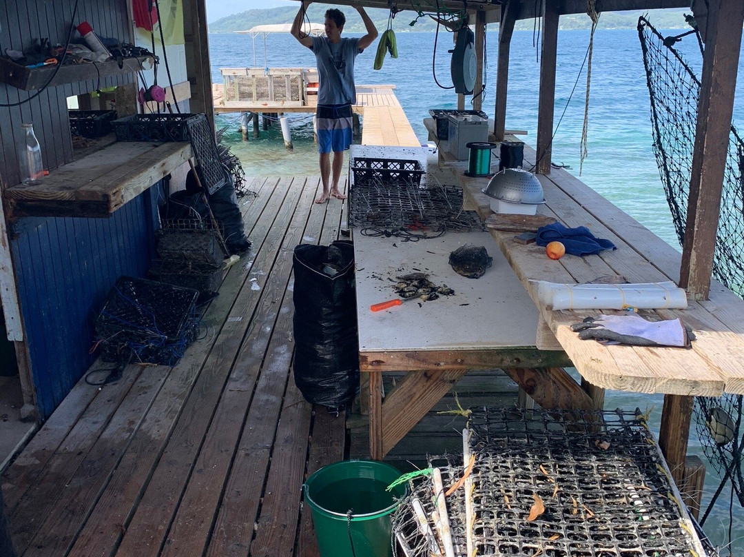 Champon Pearl Farm-塔哈岛必去景点