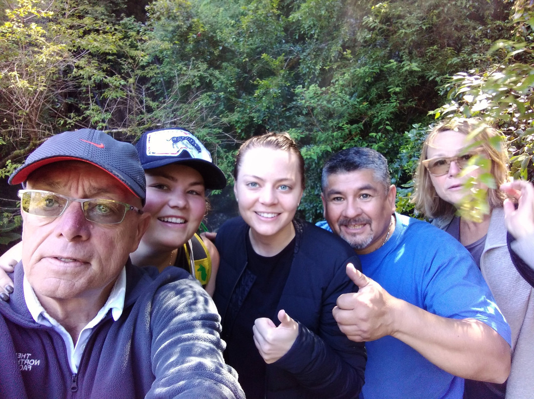 El Pionero-Puerto Aisen必去景点