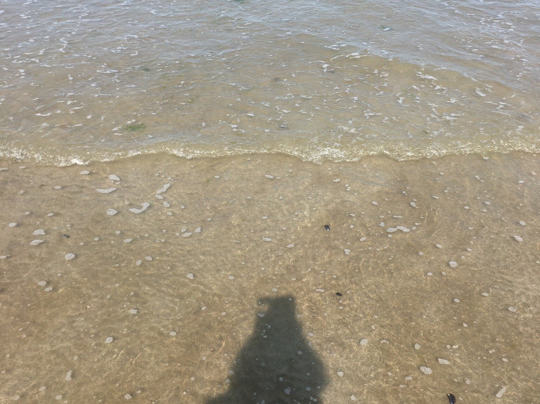 Plage des Godelins景点图片