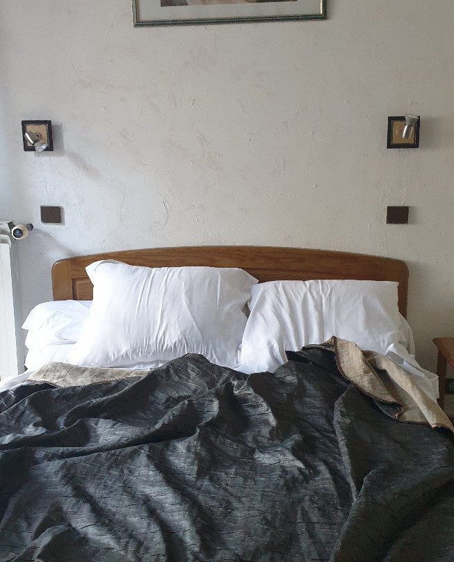 Hotel Les Orangers主图