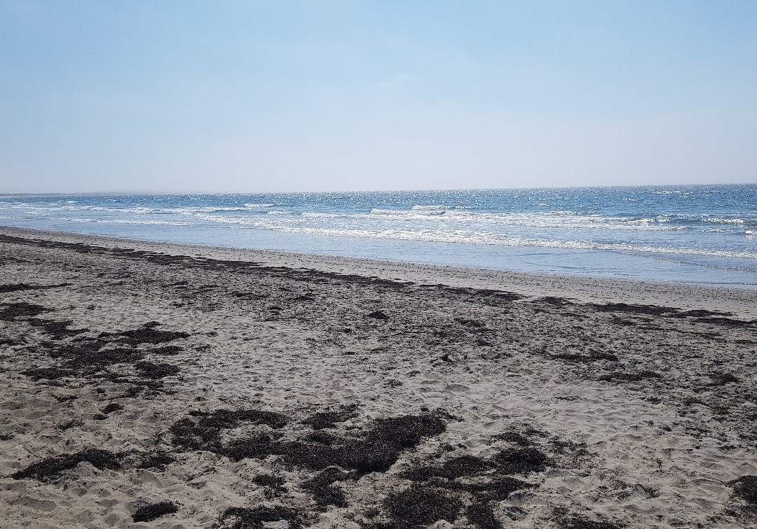 Martinique Beach Provincial Park景点图片