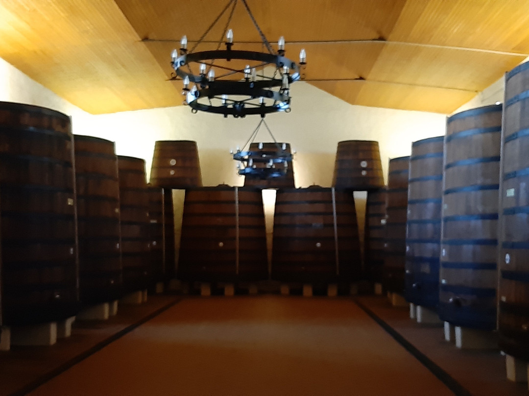 CANTINA MARTINEZ dal 1866-马尔萨拉必去景点