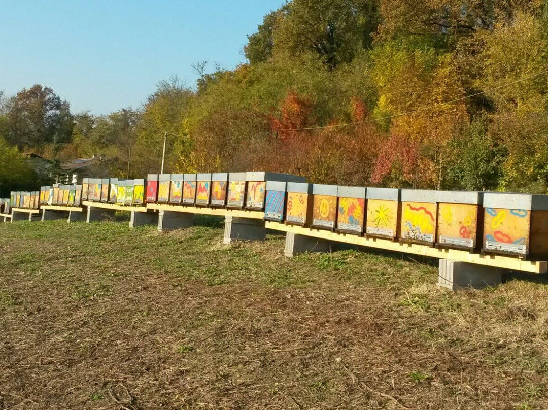 L'Ape Golosina-Narzole必去景点