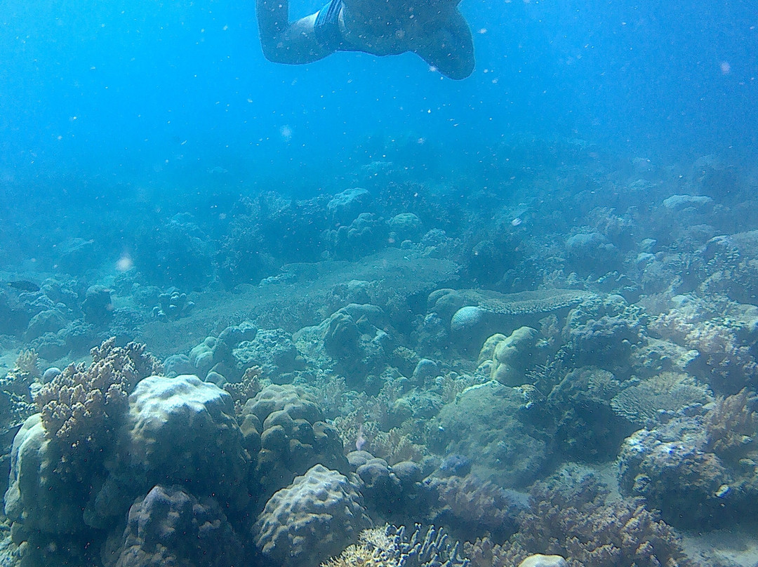 Mimpi Manis Snorkel Trips-Kuta必去景点