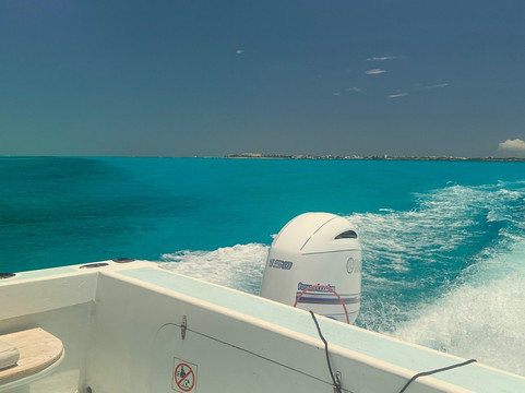 Cancun Whale Shark Tours-坎昆必去景点