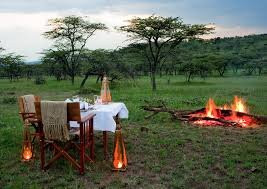 Explore masai mara safaris景点图片