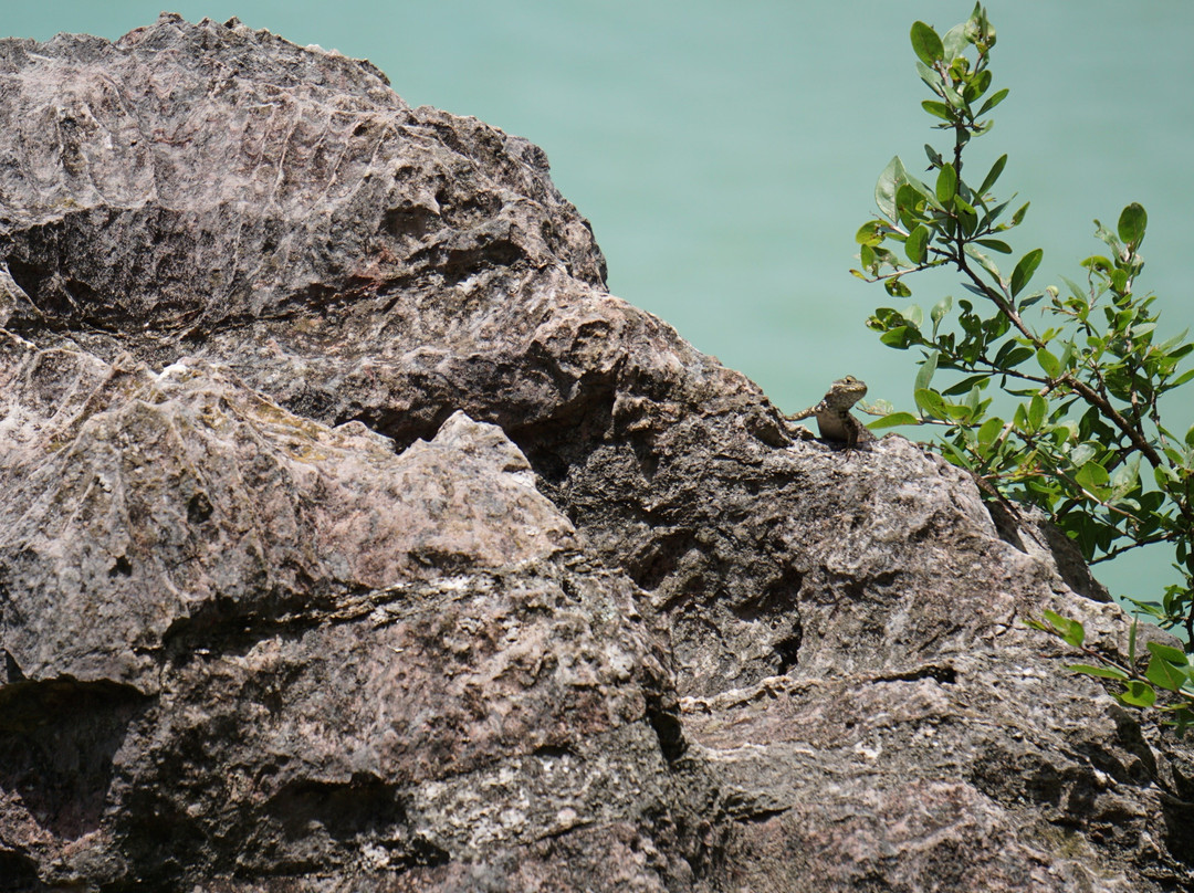 Summum Escalada-巴耶－德布拉沃必去景点