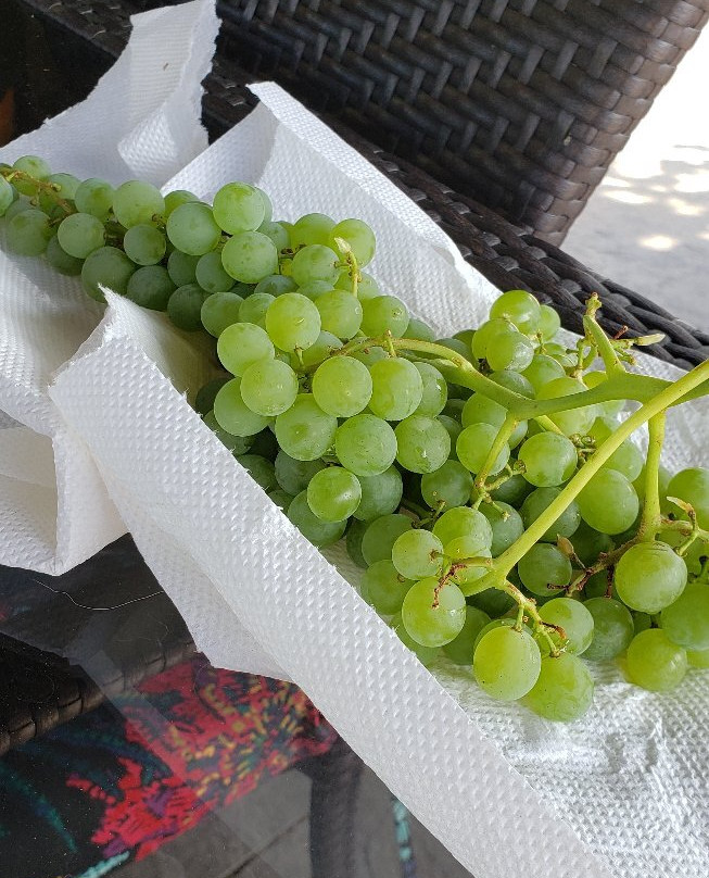 Mount View Motel主图