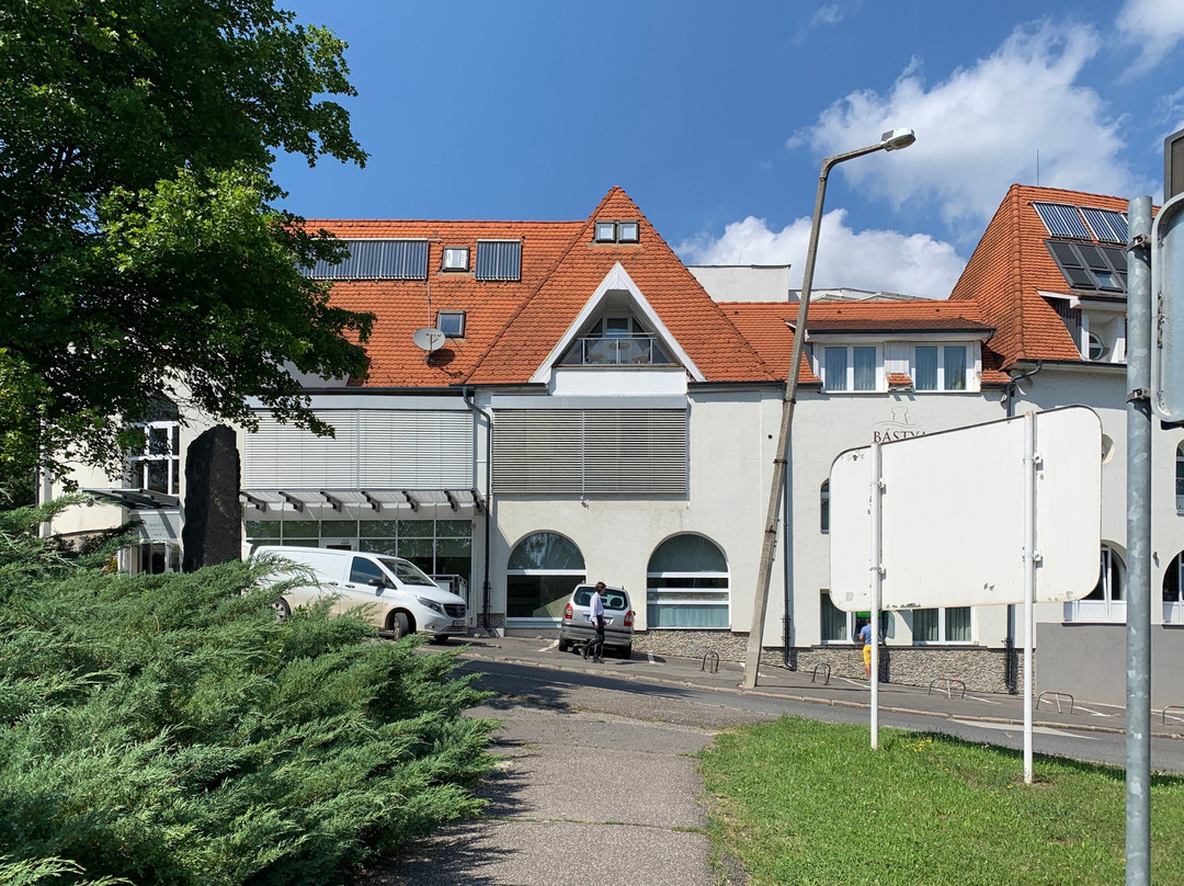 Bastya Wellness Hotel Superior主图