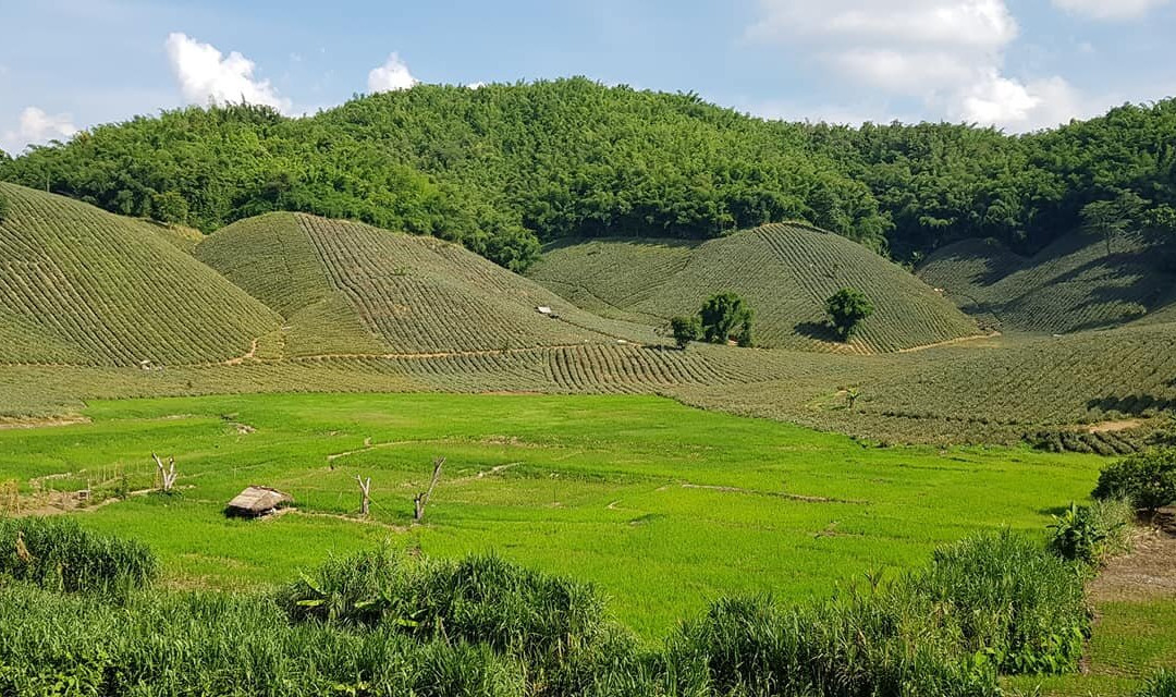 North Siam Exploring-清莱必去景点