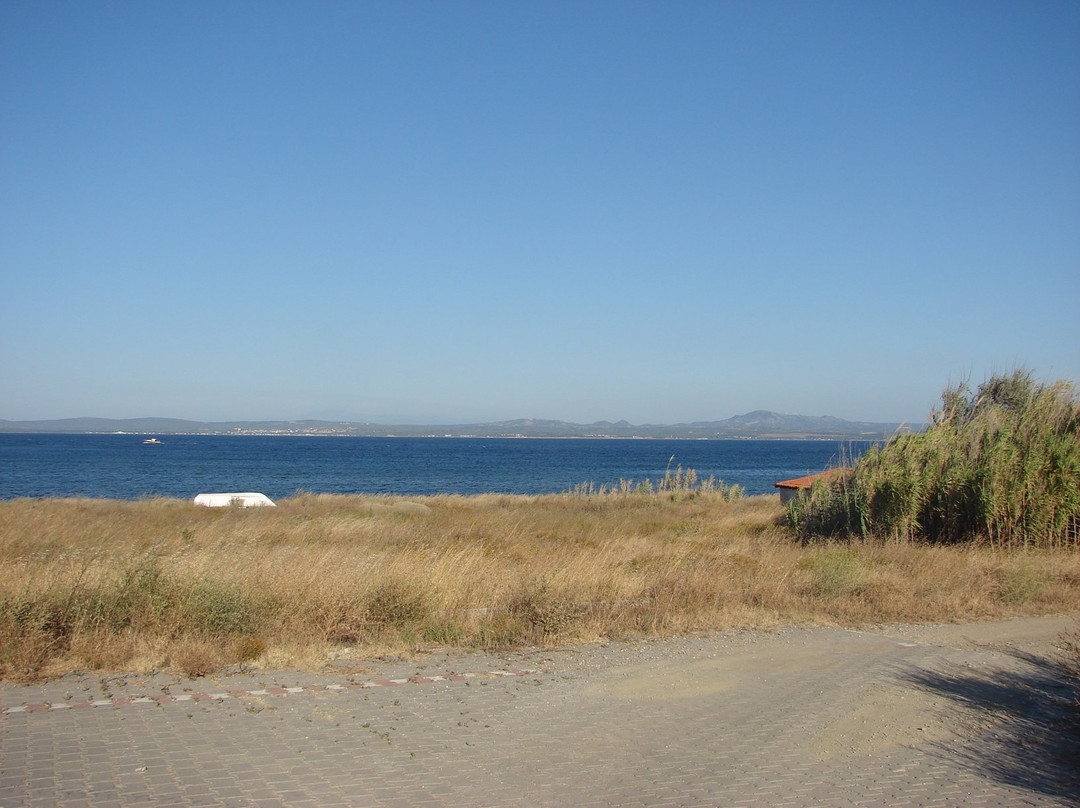 Poyraz Liman景点图片