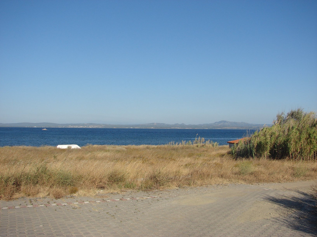 Poyraz Liman景点图片