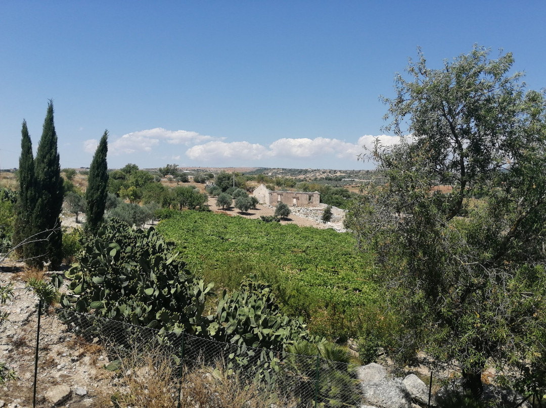Poggio Del Gallo主图