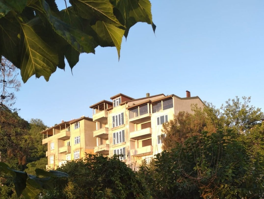 Cinarsuyu Tabiat Parki景点图片