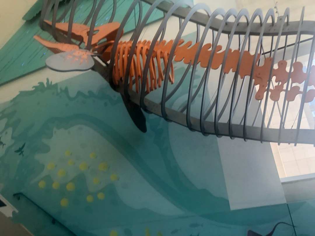 康涅狄格州科学中心-哈特福德必去景点