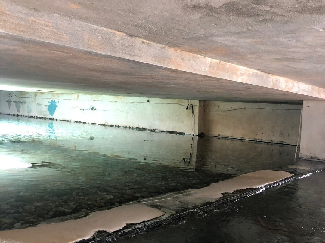 São João Fountain景点图片