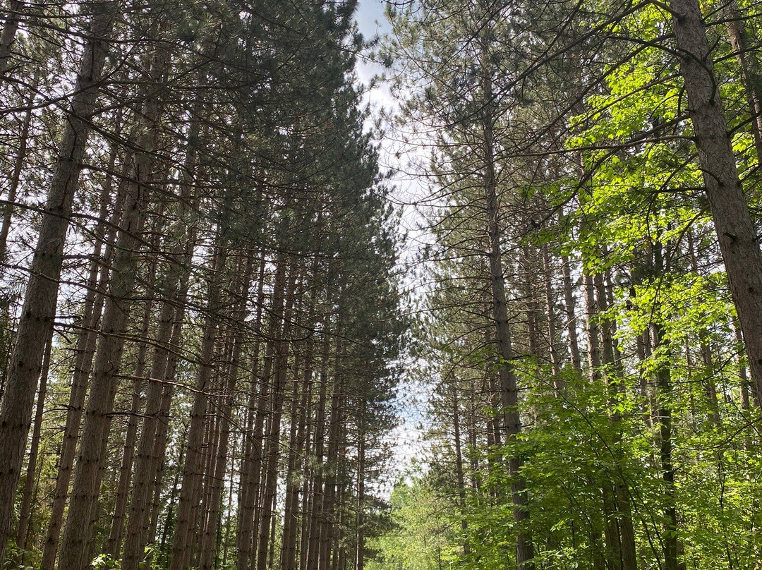 Parc régional de la Rivière Gentilly-Saint-Louis-de-Blandford必去景点