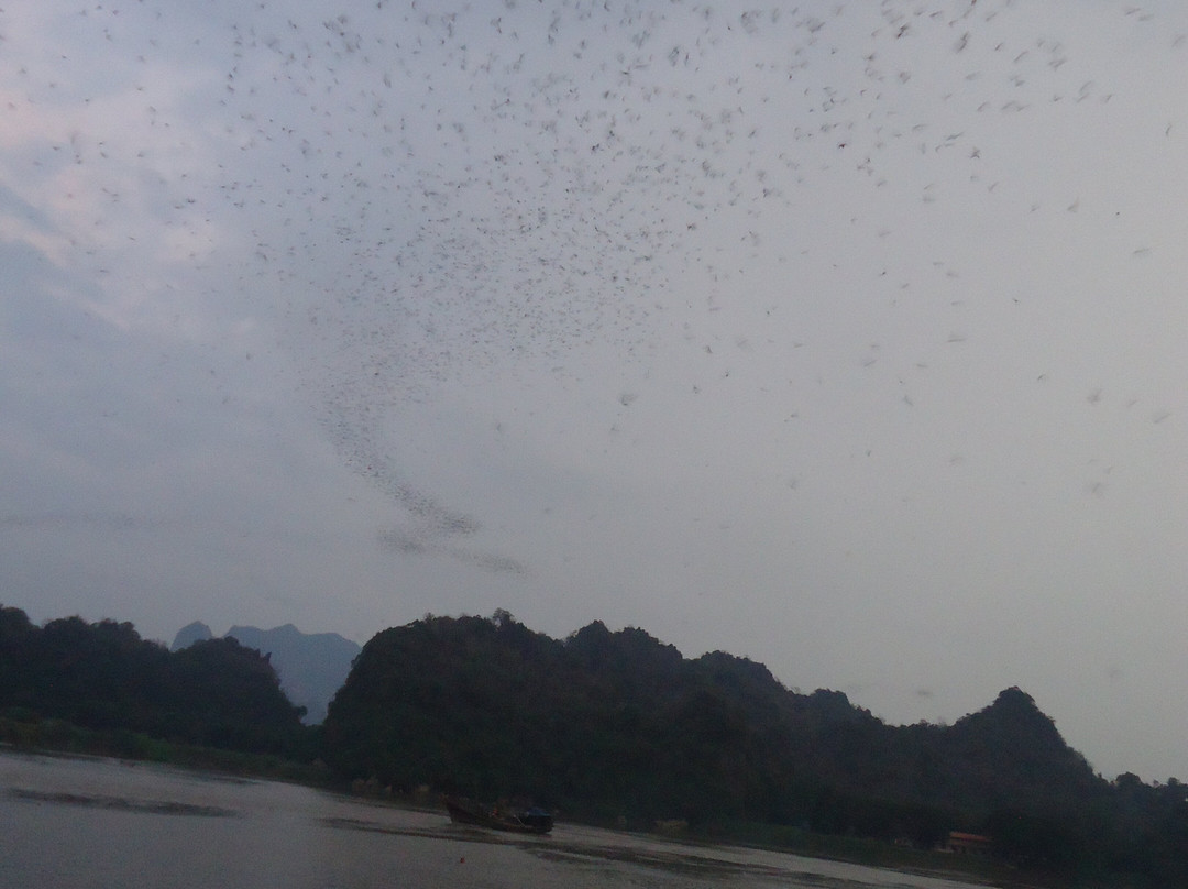 Bat Cave-帕安必去景点