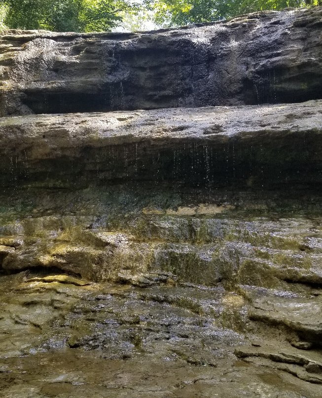 Fallsville Wildlife Area-New Vienna必去景点