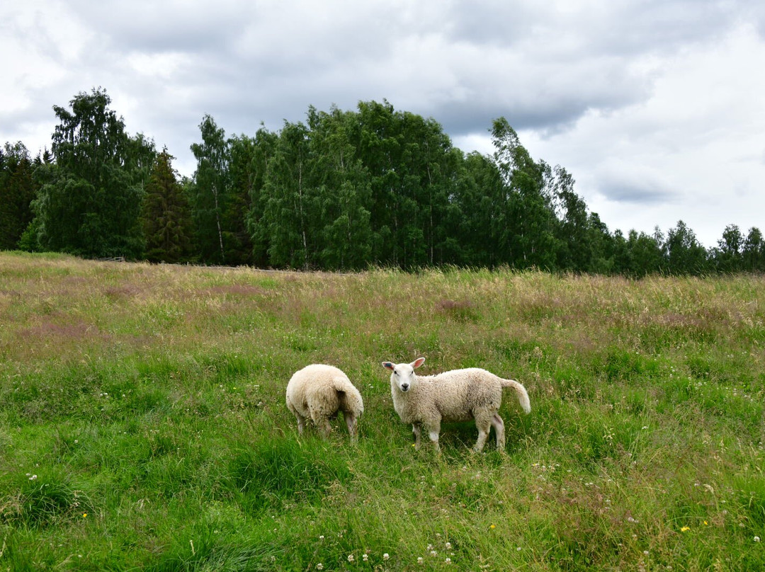 Snilsberg Familiepark景点图片