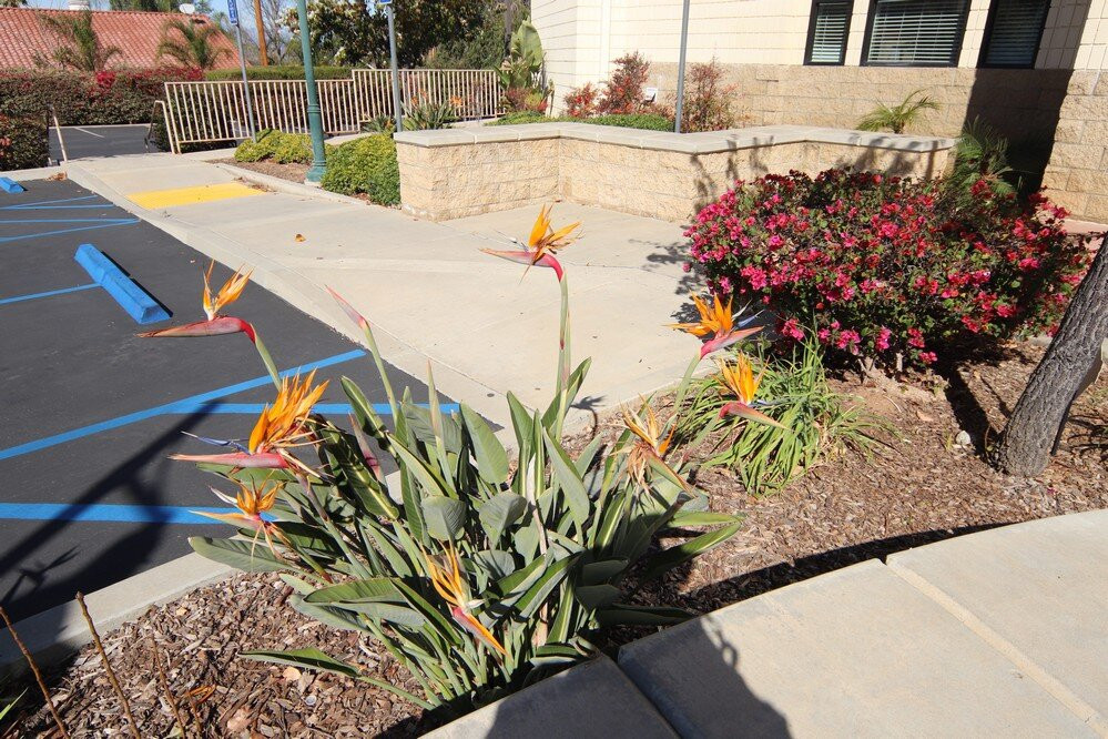 St. Matthew Catholic Church-科罗纳必去景点