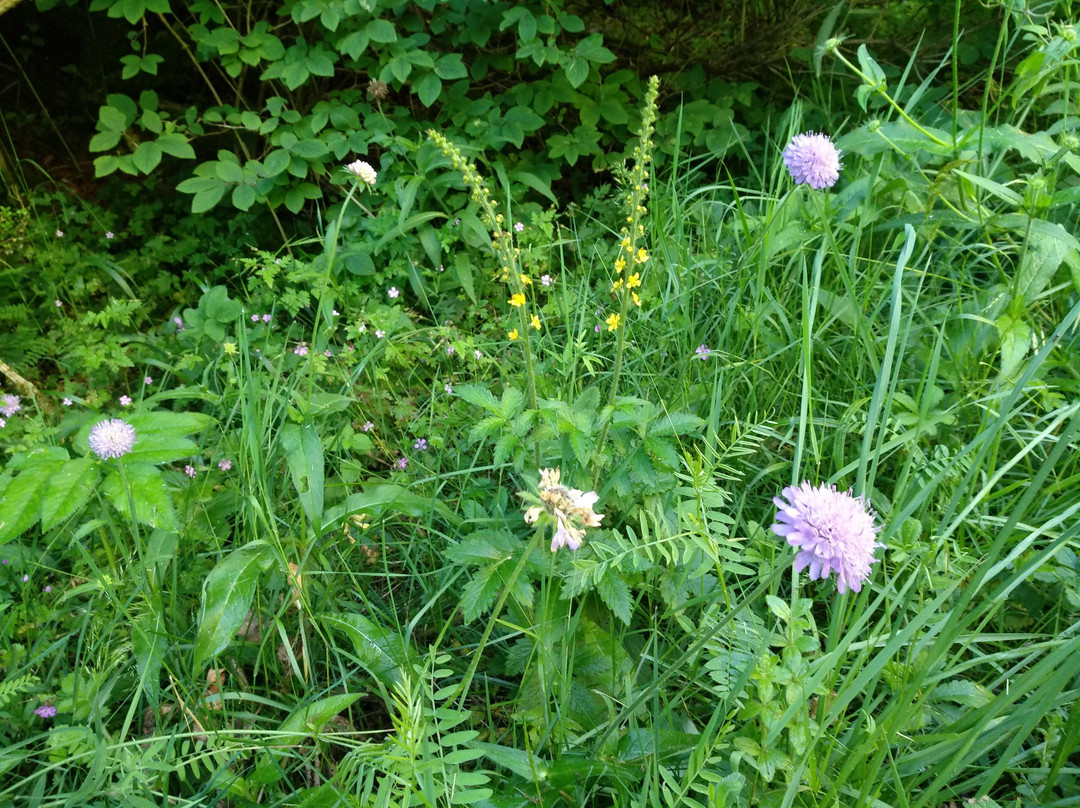 Cascada de Belabarze-Isaba必去景点