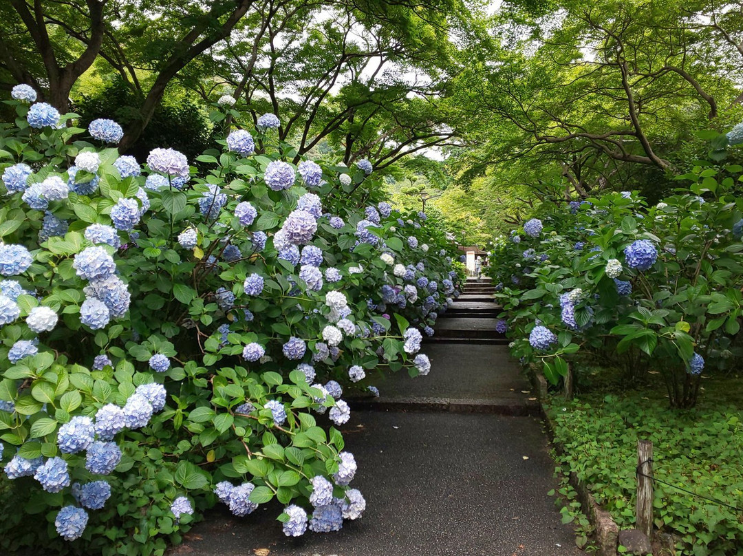 Kyuan-ji Temple-池田市必去景点