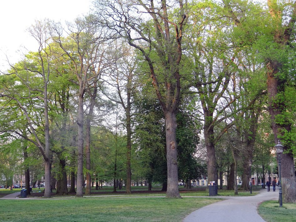 Haarlemmerhout-哈勒姆必去景点