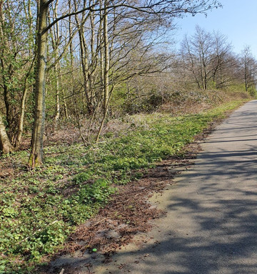 Kirkby Valley Greenway-Kirkby必去景点