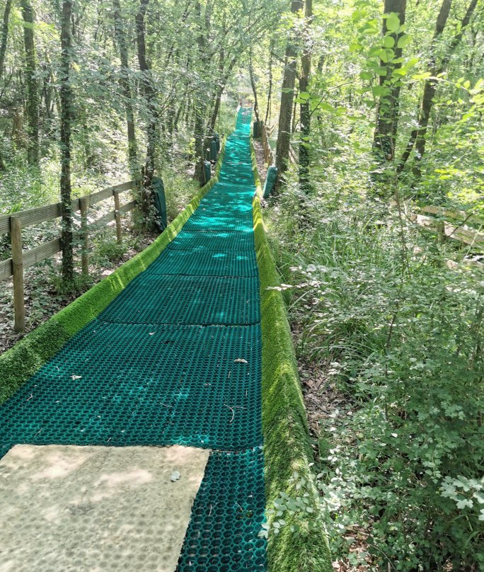 Le Bois des Lutins 06-卢贝新城必去景点