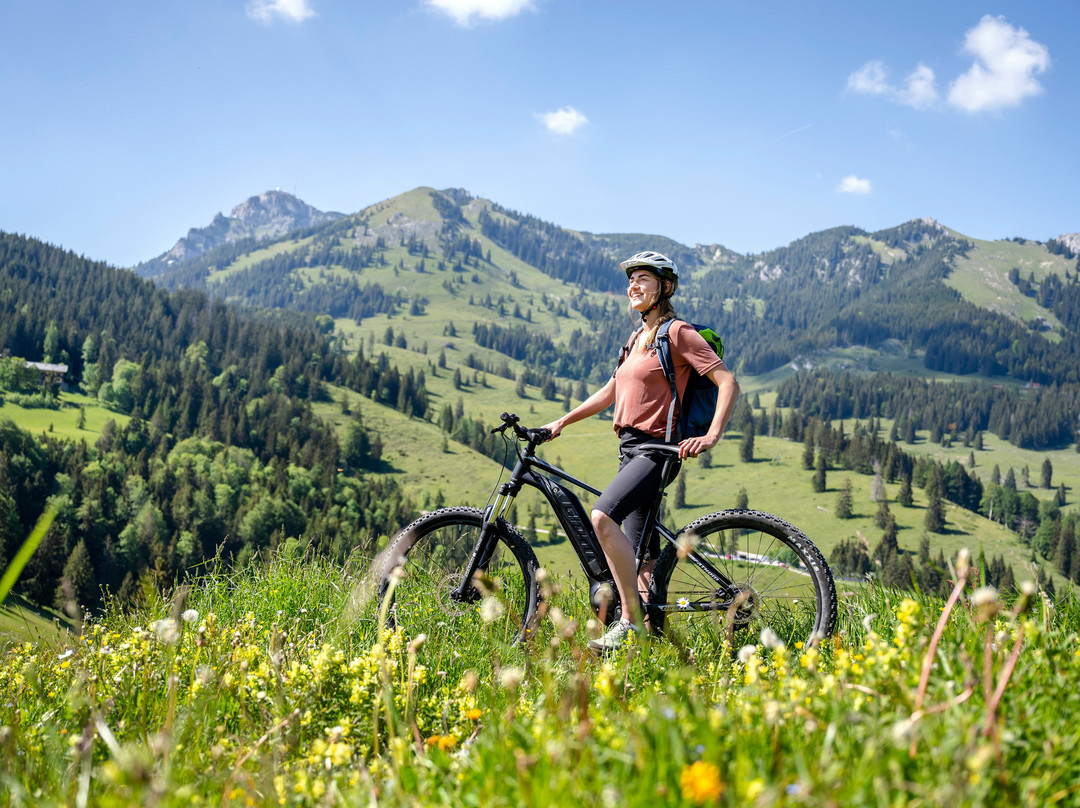 Berghotel Sudelfeld主图