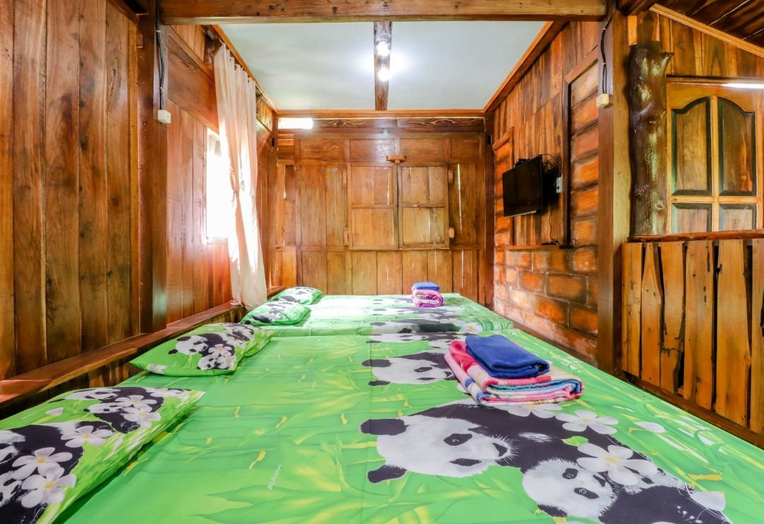 Rimbono Homestay主图