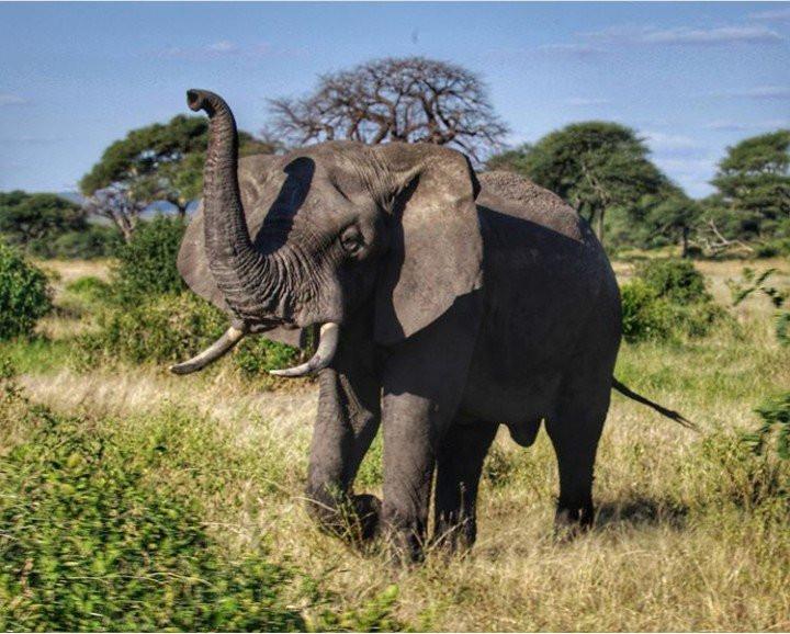 MORANI TOURS & SAFARIS LIMITED-阿鲁沙必去景点