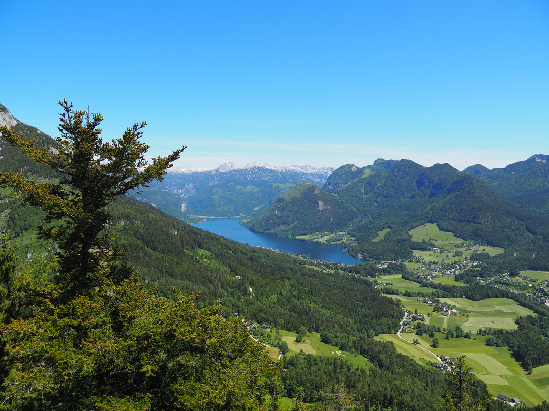 Aussichtsplattform Tressenstein景点图片