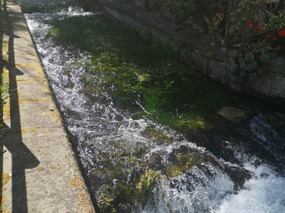 Parco del Grassano景点图片