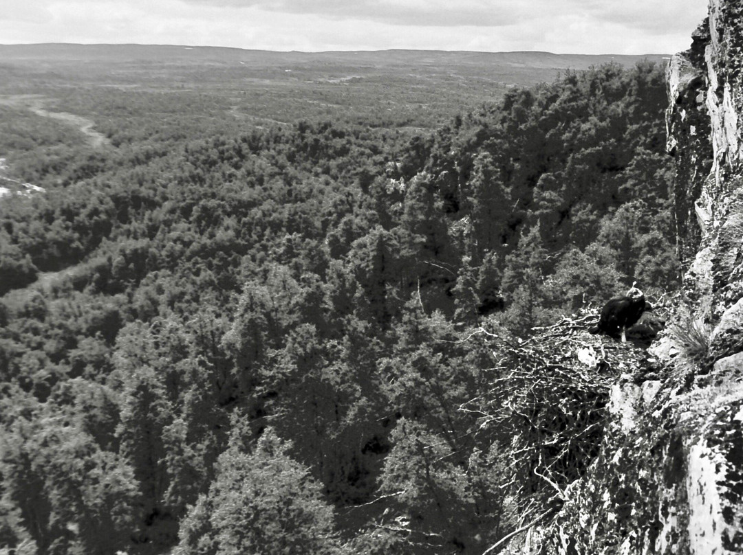 Ljungdalens Hemslojd & Cafe-Ljungdalen必去景点