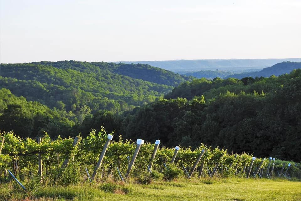 Wild Hills Winery-Muscoda必去景点